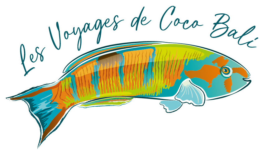 lesvoyagesdecocobali.fr